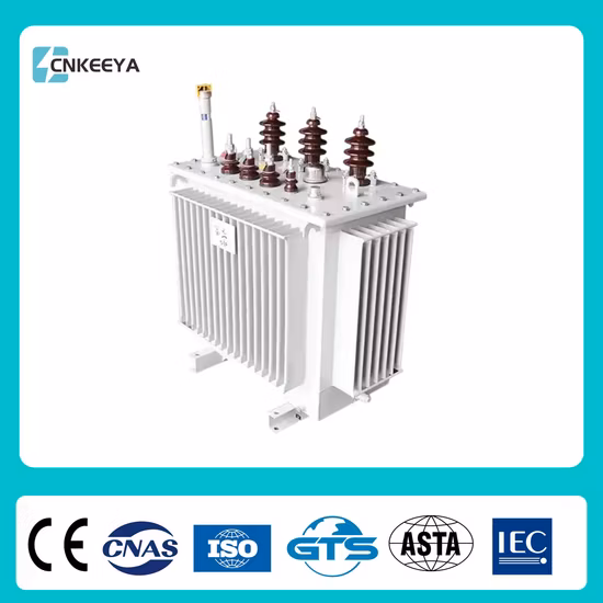 Cnkeeya S11シリーズ 10kv 配電 3